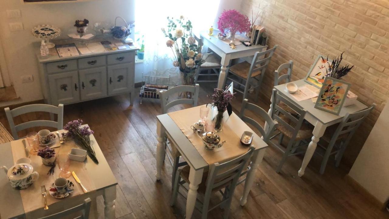 B&B Domar Civitanova Marche Eksteriør bilde